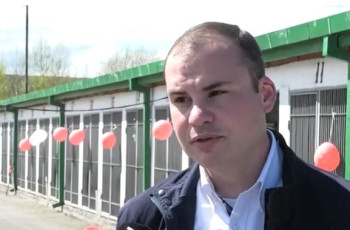 ,,ითხოვენ ცხოველების თავიდან მოშორებას“ - რა შინაარსის შეტყობინებები შედის მიუსაფარ ცხოველთა სააგენტოში და როგორის სამსახურის ხელმძღვანელი განცხადება 1.05.2025